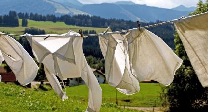 ¿Cómo lavar ropa blanca con aloe vera?