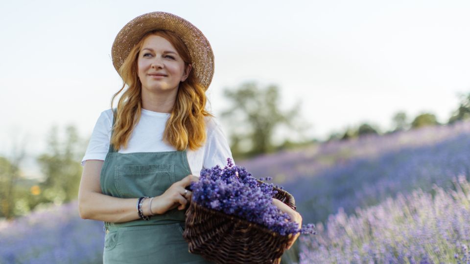 La lavanda es una de las plantas preferidas.