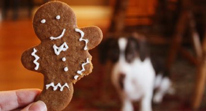 Estas son las mejores galletas de jengibre, según el jurado de MasterChef Celebrity