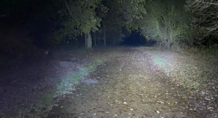 Paseaba con su perro por un bosque embrujado y se encontró con un fantasma