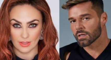 ¿Por qué se detestan Ricky Martin y Aracely Arámbula?