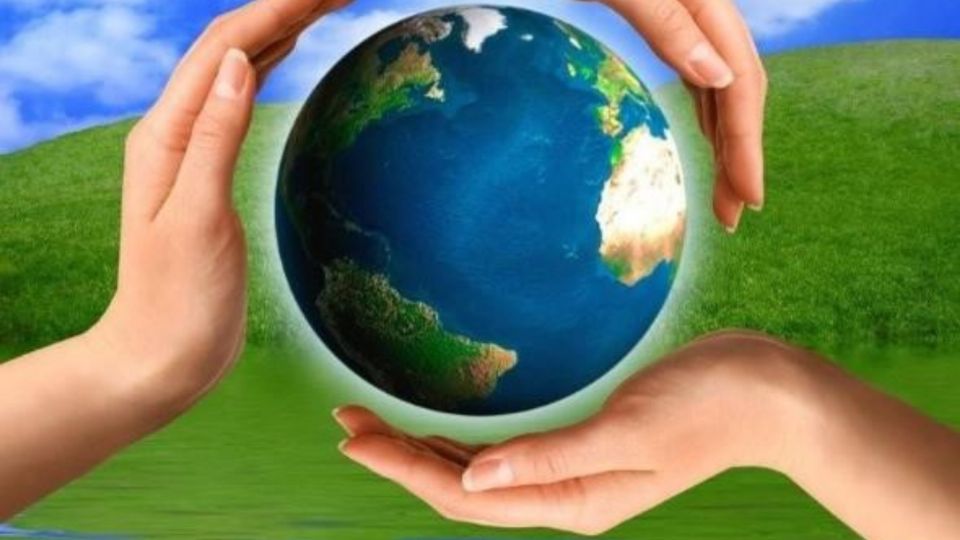 Cada 5 de junio se conmemora el Día Mundial del Medioambiente.