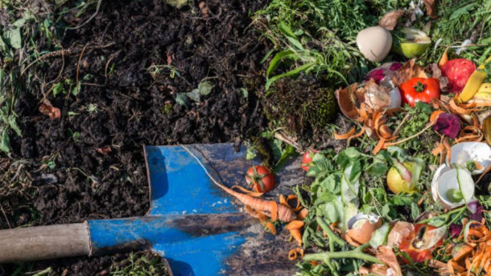 Por estas razones deberás usar compost en tu jardín