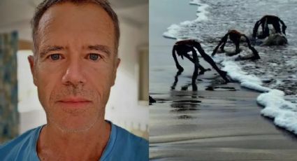 Fue a la playa, fotografió plantas que parecían alienígenas y se volvió viral