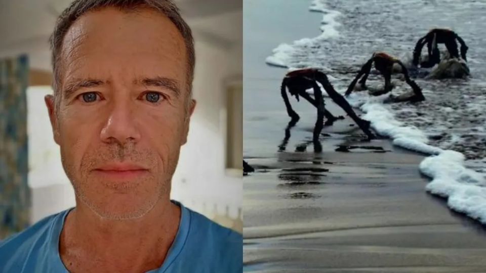 Fue a la playa, fotografió plantas que parecían alienígenas y se volvió viral