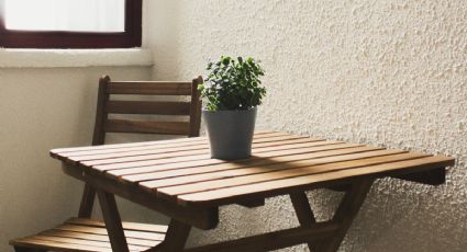 3 plantas que podrás utilizar como centro de mesa en la decoración de casa