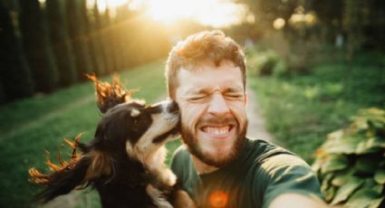 El extraño motivo por el que tu perro te muerde cariñosamente