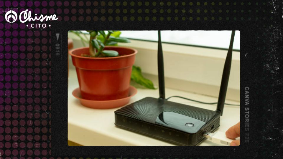 Las plantas pueden dejar de crecer cerca del routers.