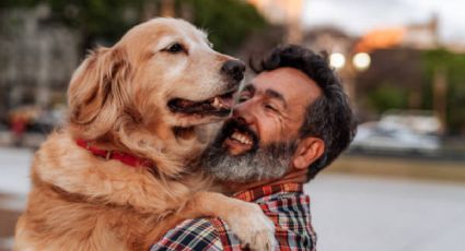 Esta es la raza de perros perfecta para ti, según tu signo del zodiaco