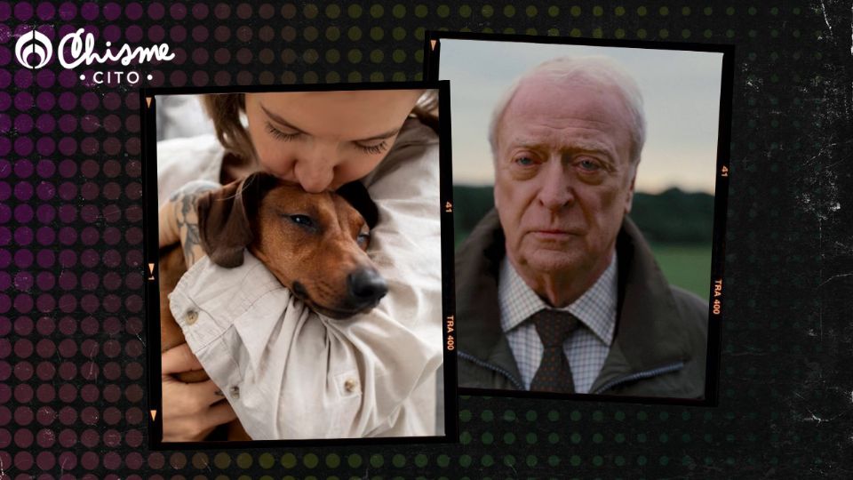 Estas razas de perros son tan obedientes como Alfred Pennyworth.