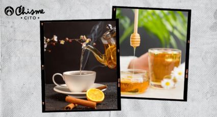 Temporada de té: 3 infusiones ideales para recibir el invierno