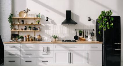 ¿Cuáles son las mejores plantas para eliminar el olor en la cocina?