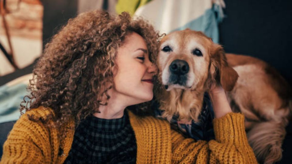 Conoce la raza de perro que te ayuda a evitar la depresión y el estrés.