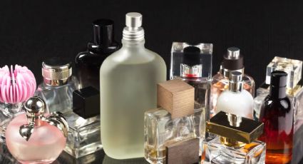 4 perfumes de nicho y sin género que seguramente amarás