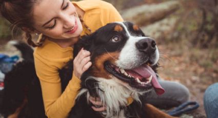 3 razas de perro que no llenarán tu casa de pelos ni hedor