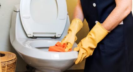 Dile adiós para siempre al sarro de la taza del baño, solo con dos ingredientes de cocina