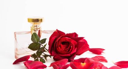 Este es el perfume de rosas que utilizan las mujeres elegantes