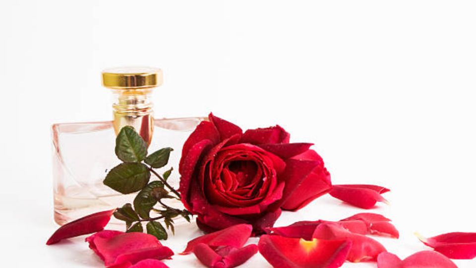 Este es el perfume de rosas que utilizan las mujeres elegantes