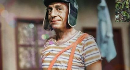 Chavo del 8: (FOTOS) ¿Cuántos años tenían los personajes al inicio de la serie?