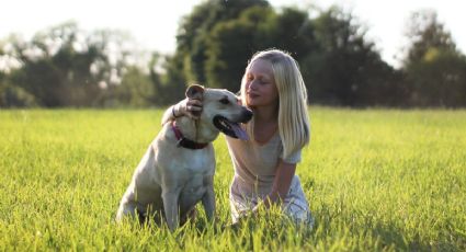 Llénate de amor antes de conocer las 3 razas de perros más alegres