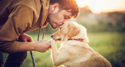 Los perros pueden descubrir un grave problema que afecta a la sociedad