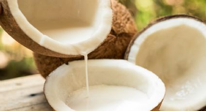 ¿Cómo ocultar las canas con leche de coco? 2 recetas infalibles