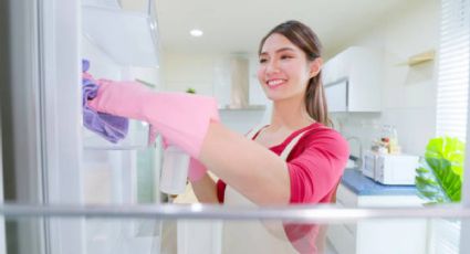 Aprende a desinfectar el congelador del refrigerador en pocos pasos