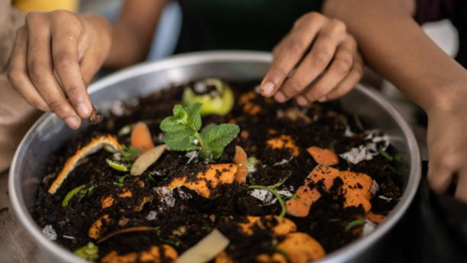 Para cuidar a nuestras plantas buscamos siempre poder aportarles la cantidad de nutrientes que necesita para que crezcan sanas y suertes.