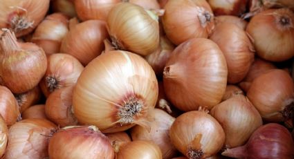 Así deberás guardar tus cebollas para que te duren más tiempo