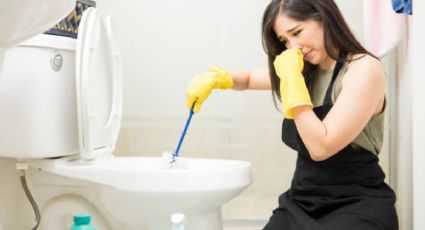 Cada cuánto debo limpiar cada pieza del baño, según los expertos