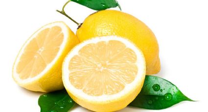 Conoce el truco para tener tus limones frescos por más tiempo