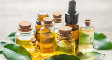 Descubre cuál es el mejor aceite natural que hará crecer tus pestañas al instante