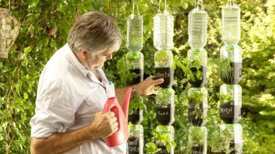 Así podrás regar tus plantas sin preocuparte de ello