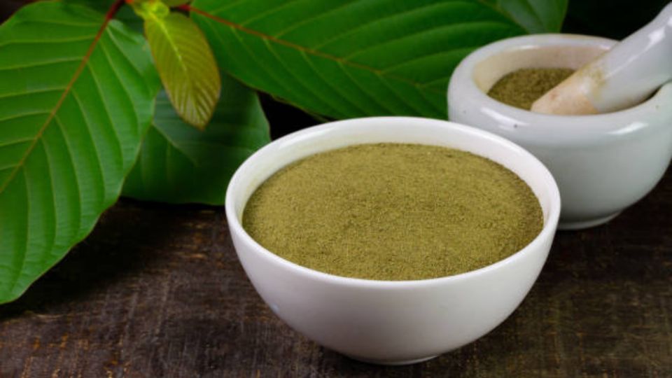 La planta kratom planta que puede curar el dolor