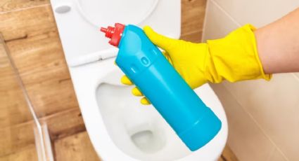 Limpieza: Elimina todas las bacterias de la taza del baño, solo con vinagre