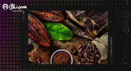 La diferencia entre cacao y cocoa, según la ciencia