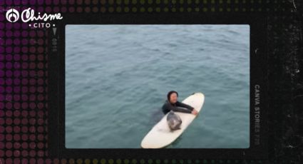 El VIDEO más tierno que verás hoy, una foca bebé surfeó en las playas de San Diego