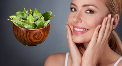 Dile adiós al bótox, prepara esta mascarilla casera de laurel para eliminar arrugas al instante