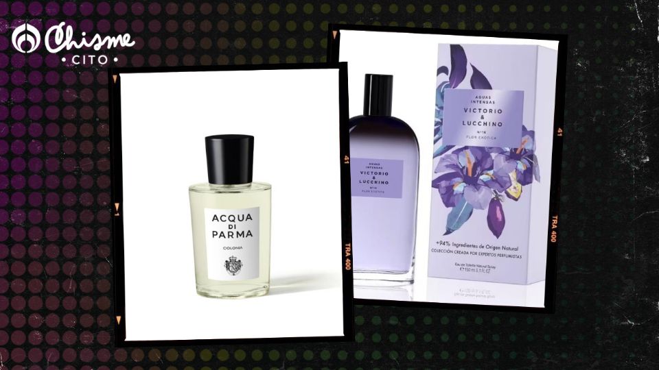 Amarás estos perfumes con notas de lavanda