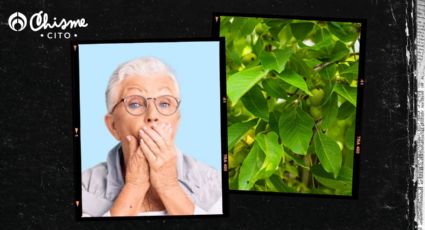 Esta es la planta ideal para oscurecer las canas, spoiler: ¡no es el romero!