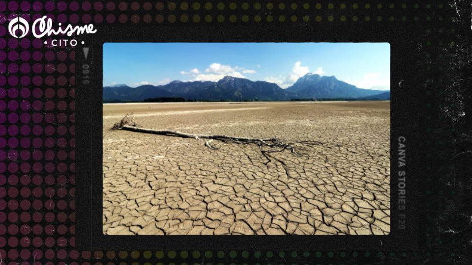 El cambio climático está causando estragos.