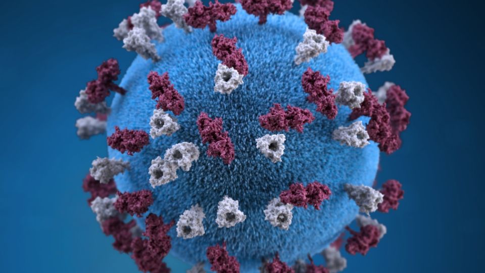 El virus Nipah se extiende por India y tratan de contenerlo.