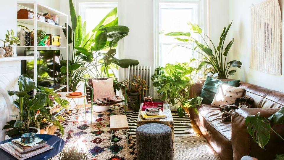 Descubre las mejores formas de decorar tu hogar con plantas.