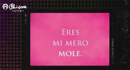 ¿Qué significa la frase 'tu mero mole'?	