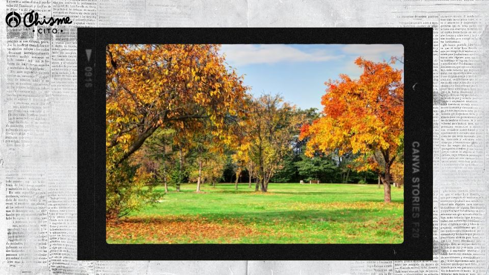 La llegada del otoño implica cambios en el pasto de los jardines.