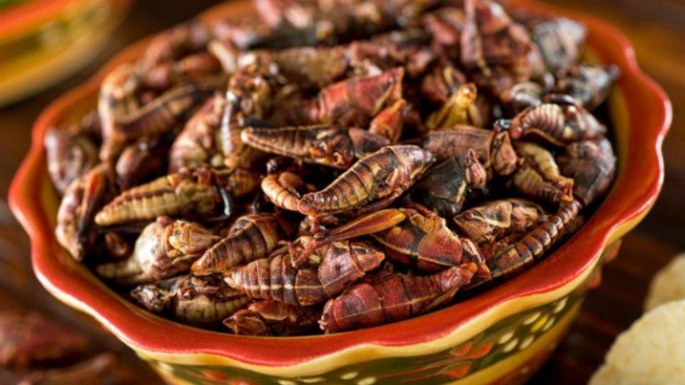 Los chapulines son uno de los manjares característicos de México.