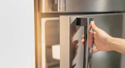 Dile adiós al refrigerador: el barato sustituto que no necesita electricidad para enfriar alimentos