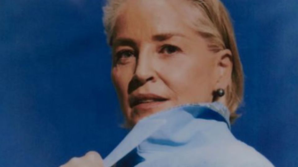 Sharon Stone utiliza una app de citas para encontrar el amor