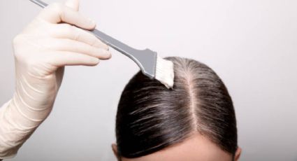 Canas: 5 tintes sin amoniaco para olvidarte del pelo blanco y cuidar tu cabello