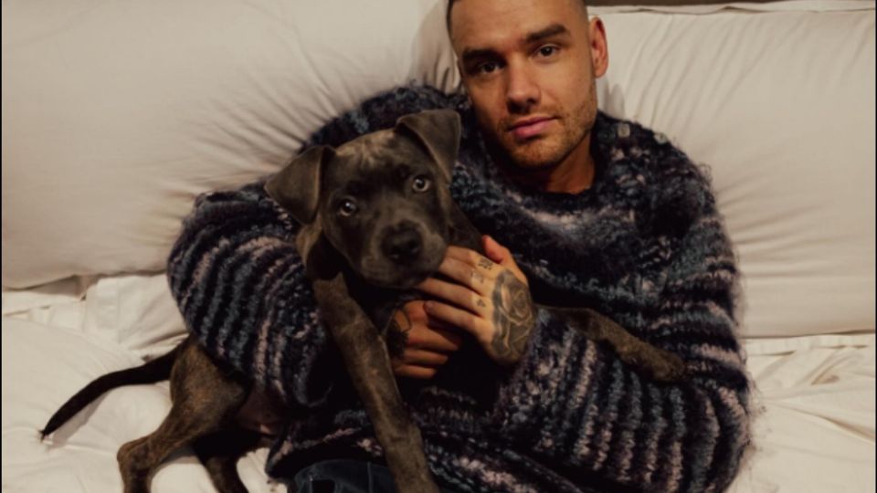 Liam Payne murió a los 31 años de edad tras caer de un tercer piso.